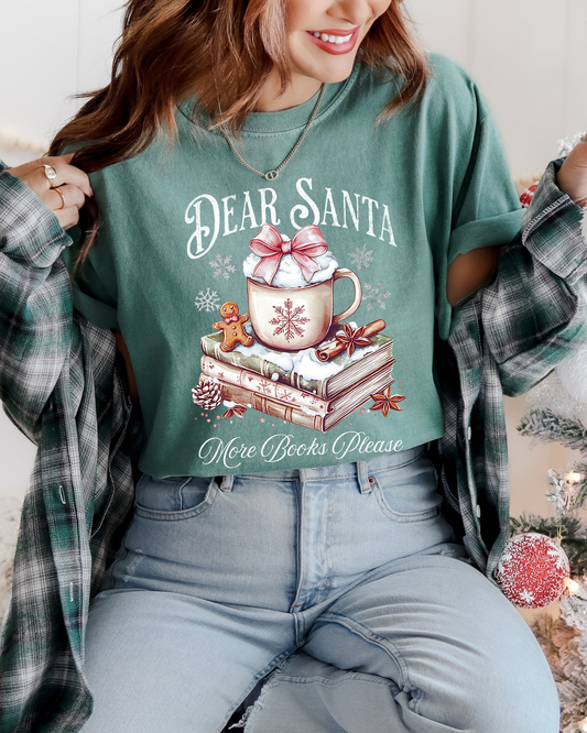 Dear Santa More Books Please Tee